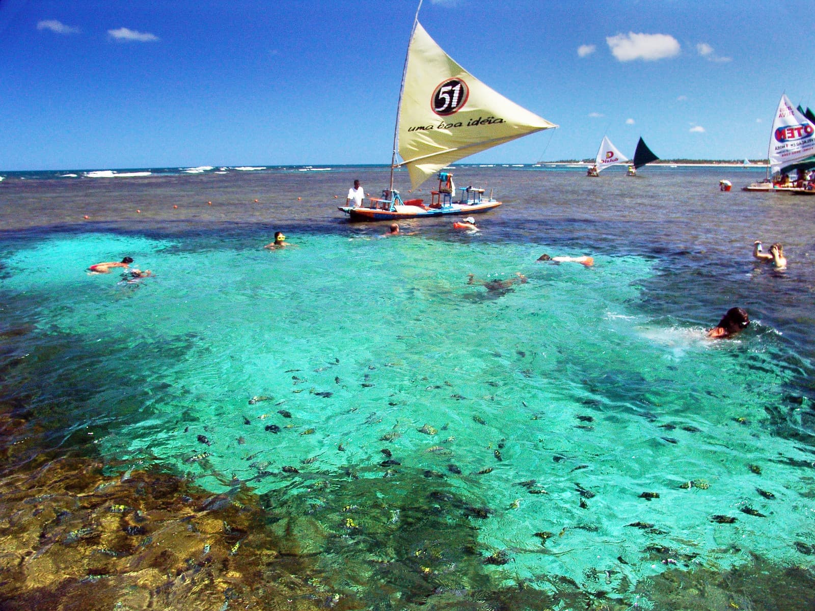 Piscinas naturais de Porto de Galinhas com jangadas